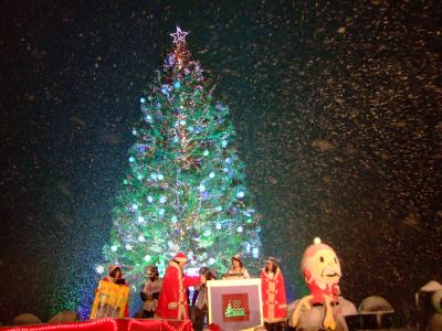 天からのメリークリスマス≪函館≫ Ｗｉｎｔｅｒ Ｊｏｕｒｎｅｙ～白い足跡は北へつづく～７