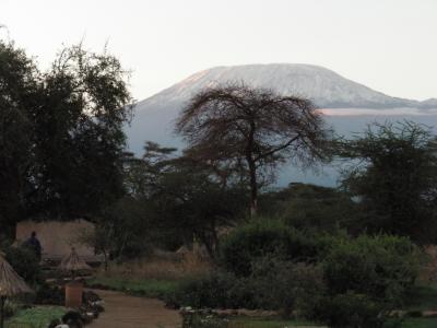 アフリカ③　☆アンボセリ国立公園☆