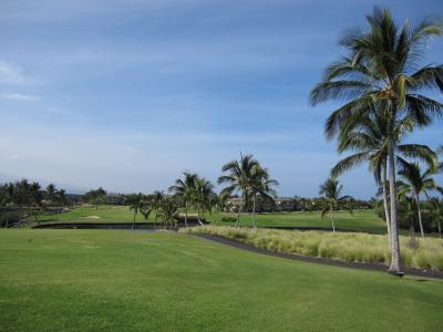 またまたハワイ☆ハワイ島＆オアフ島６泊８日　～ハワイ島２日目～