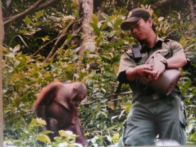 会いたかったよ　オラウータン３