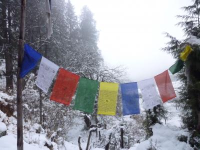 行っちゃいましたョ☆☆ブータン王国☆☆第①話の巻編