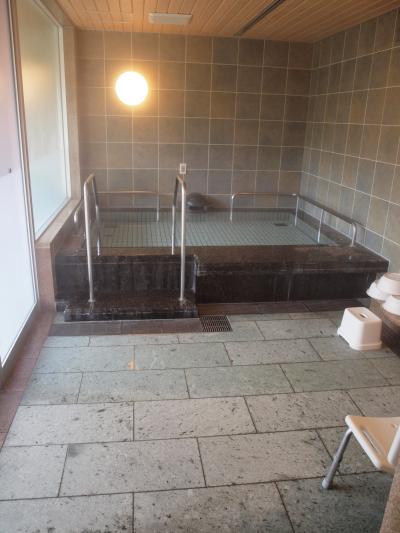 ２００９年１２月　年末年始の伊豆旅行　その１　かんぽの宿伊豆高原での日帰り入浴と昼食