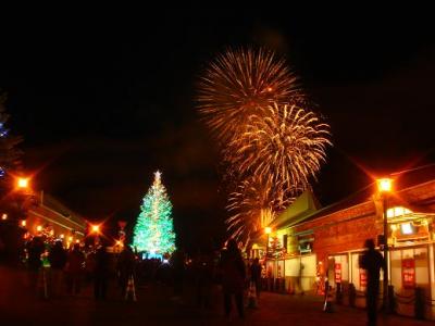 《道南ドライブ~はこだてクリスマスファンタジー~》ピカピカきらきら編