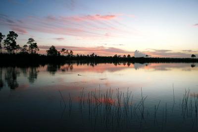 南フロリダ大自然ツアー(?!) 4 Everglades National Park 1