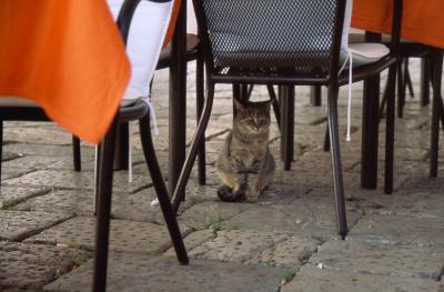 Germayから内戦跡の残る今はなき旧Yugoslaviaへの旅(Mostar Dubrovnik)