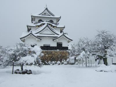 雪の彦根城と玄宮園