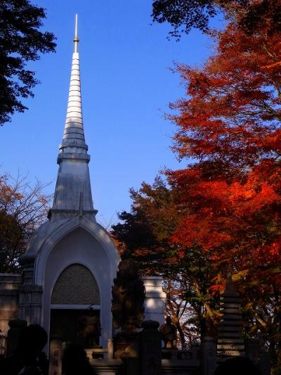 ☆高尾山に上って・・・
