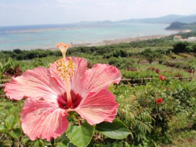 初めての石垣島☆ダイビングの旅