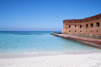 南フロリダ大自然ツアー(?!) 6 Dry Tortugas National Park 