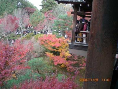 京都五山の大伽藍【東福寺】の紅葉
