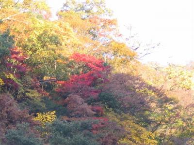 花貫渓谷・竜神峡・袋田の滝　日帰り旅