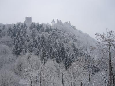 新年旧ユーゴ旅行2010② ～探索発掘ツェリエ～