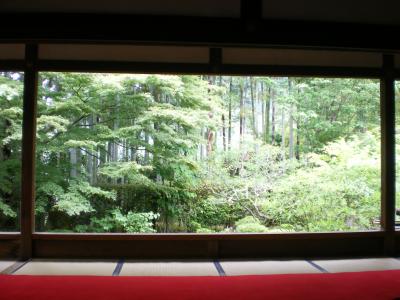 京都一泊二日の旅(大原編ほか)2日目