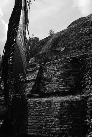 三千年都市　ベリーズのラマナイ遺跡