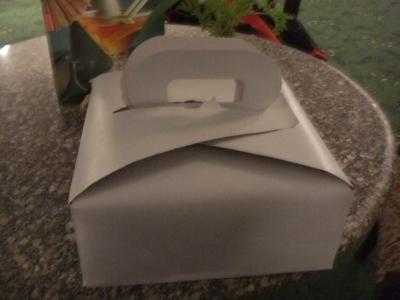 2009年12月エジプト(45) アブシンベルに向かう