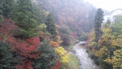 紅葉の加賀路を巡る①