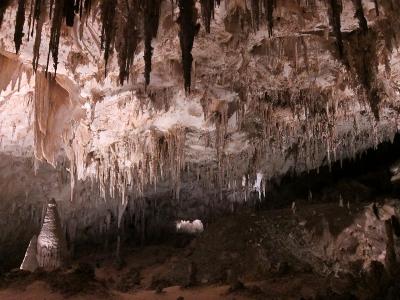 ２０１０年　カールズバッド洞窟群国立公園