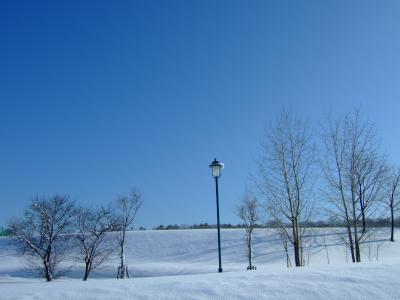 魅惑の匂いが包む街≪旭川→名寄≫ Ｗｉｎｔｅｒ Ｊｏｕｒｎｅｙ～白い足跡は北へつづく～１４