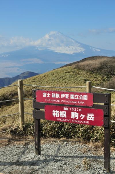 2010年冬の富士を求めて！Vol.3（箱根芦ノ湖から望む富士山） 