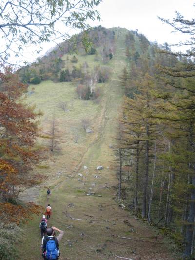 笠取山に登る--多摩川の源流を見に