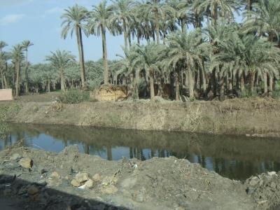 2009年12月エジプト(65) ダハシュールのピラミッド