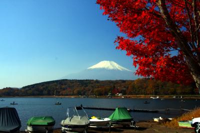 秋の山中湖と富士山