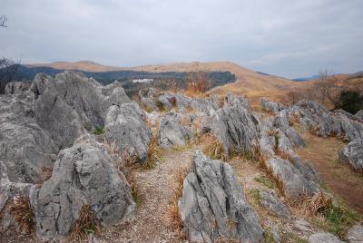 山口県の旅　～秋吉台～