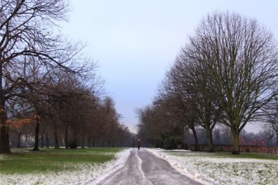 2009冬の旅 「クリスマスの伊国と英国7」 朝のハイドパーク～帰路