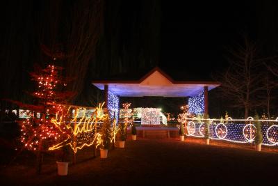 河口湖イルミネーション　大池公園