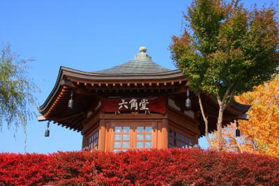 河口湖・八木崎公園の紅葉