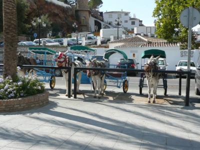 子連れで南スペイン ③