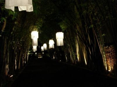 滞タイ１ヶ月の夏