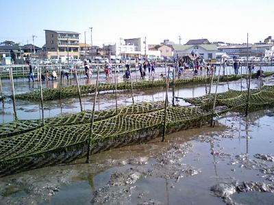 春になったら民宿に泊まって潮干狩り！in松川浦