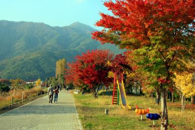 ２００９　河口湖紅葉まつり