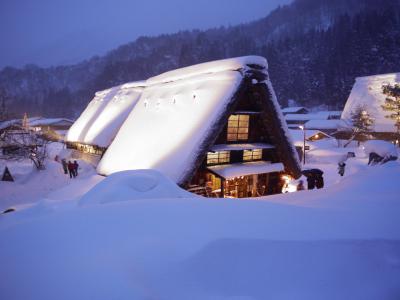 【岐阜】白川郷ライトアップツアー