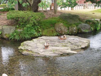 過去旅～あのPVを再現してみたい～