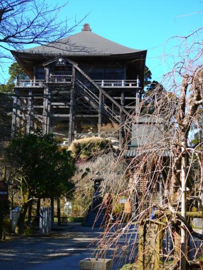 茂原公園と笠森観音（ドライブ