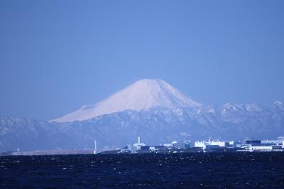 千葉　幕張新都心　散歩 ②　東京湾から雪衣の富士山