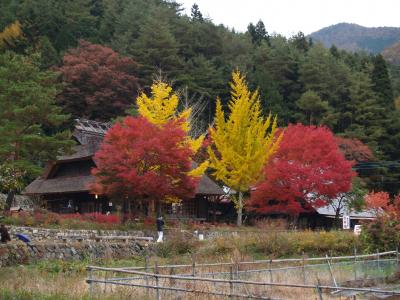 西湖いやしの里根場