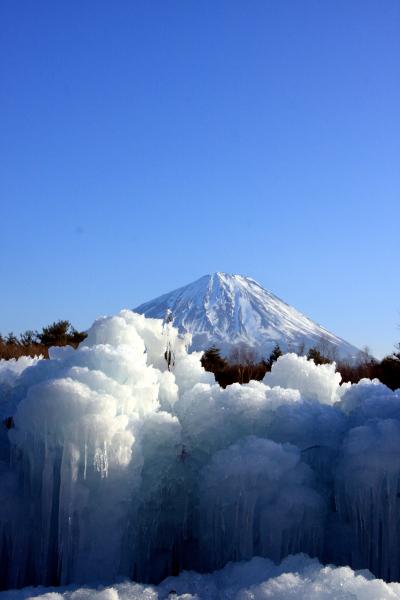２０１０　西湖野鳥の森公園「樹氷まつり」
