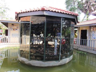 カンボジア旅行記③