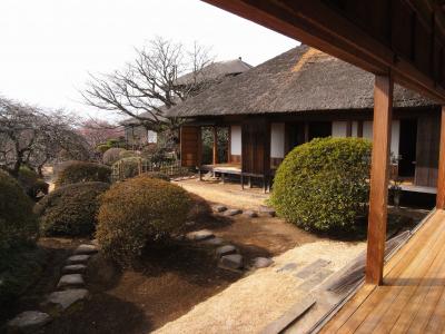 日本三大庭園・偕楽園の旅