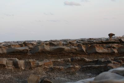 大親友達と行く宮崎ツアー~青島神社編~