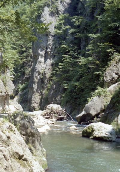 東北（鳴子峡）　