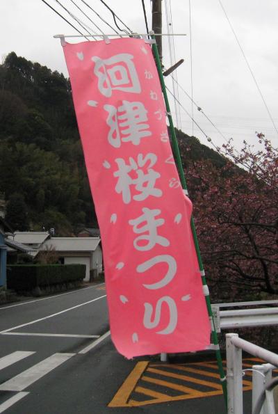 西伊豆から河津へ一泊旅行　(2日目）