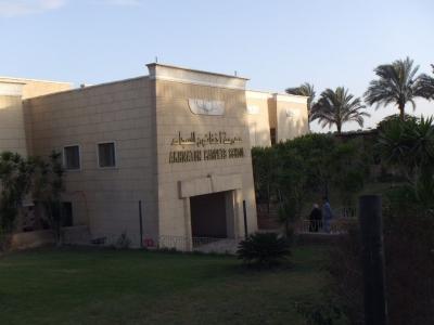 2009年12月エジプト(68) じゅうたん屋、ホテル：アマランテピラミッズ２