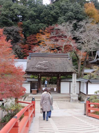 紅葉の室生寺（奈良紅葉巡り３・一人旅）