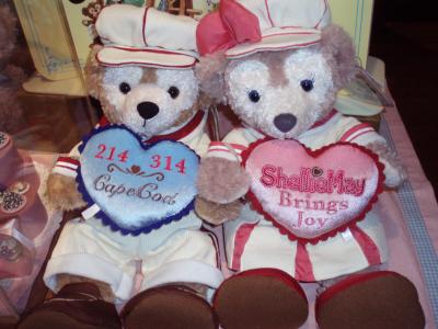 ディズニーシー　アフター６でどれだけアトラクションを回れるかに挑戦！２０１０・２