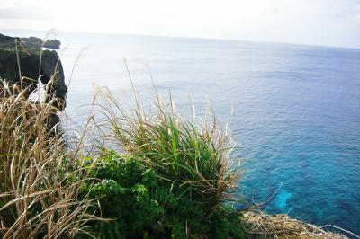 沖縄食べ物語　２日目　その４