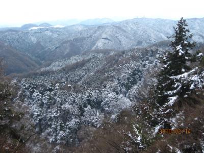 高尾山・春の新雪。